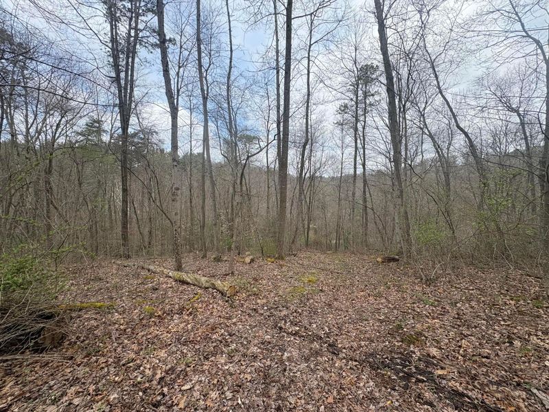 Sugar Grove, OH 43155 Photo 8