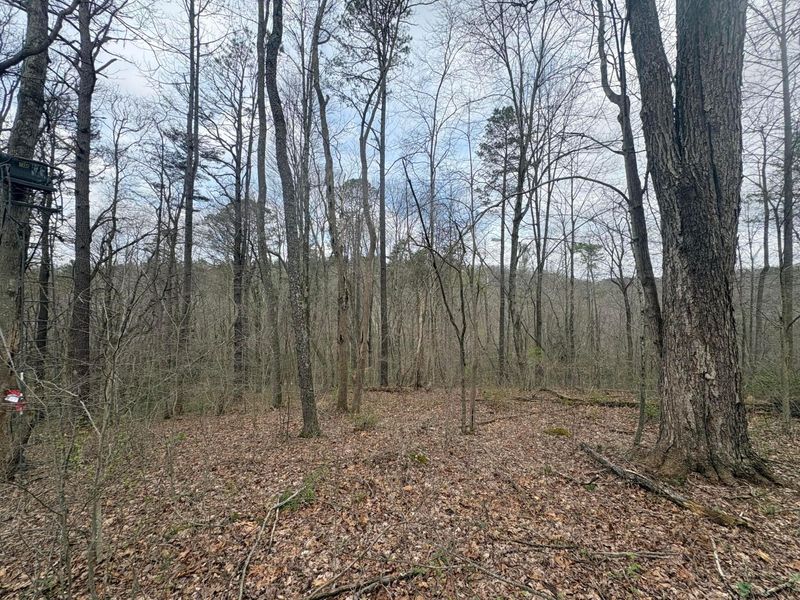 Sugar Grove, OH 43155 Photo 9