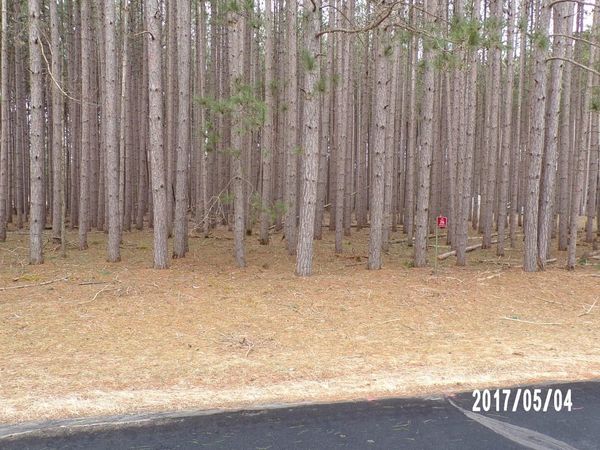 246 Winchester Road, Nekoosa, WI 54457