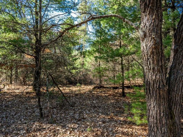 Lot 4 Morros Mile Road, Necedah, WI 54646