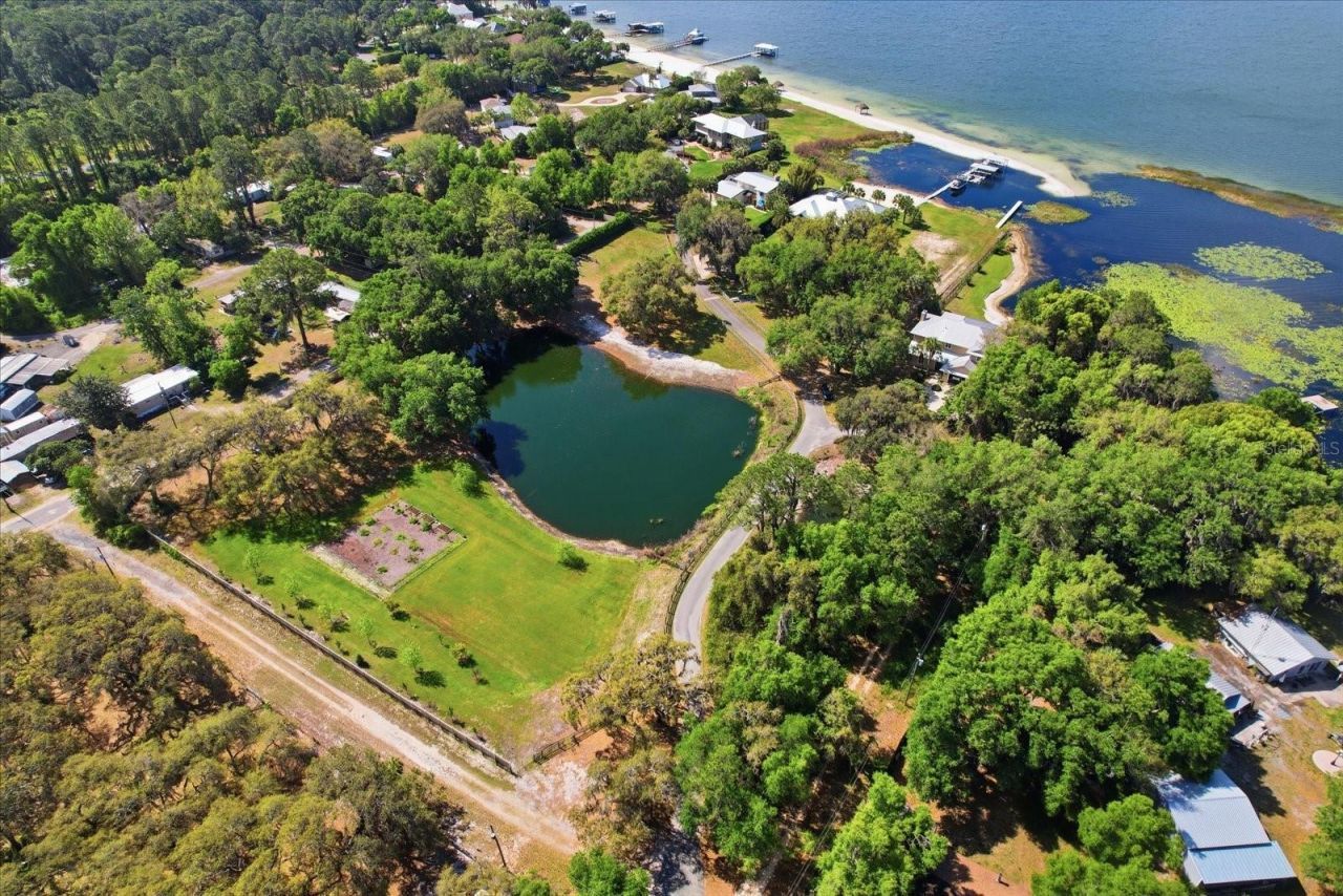 Tbd SE 142nd Court, Ocklawaha, FL 32179 Photo