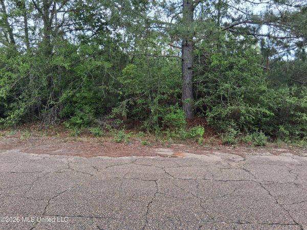 0 Ab Ladner Drive, Lumberton, MS 39455