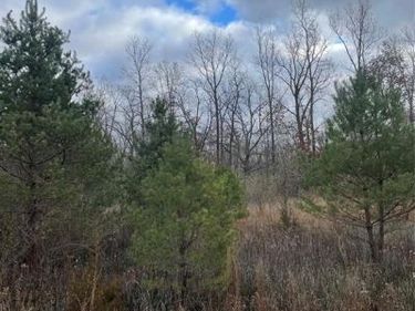 SEYMOUR Road , Argentine Twp, MI 48451