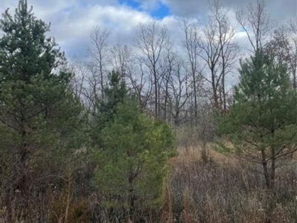 SEYMOUR Road, Argentine Twp, MI 48451