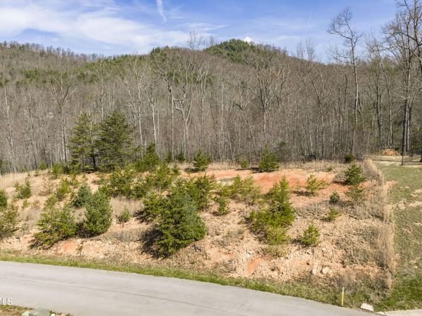 Lot 47 Homestead Drive, Unicoi, TN 37692