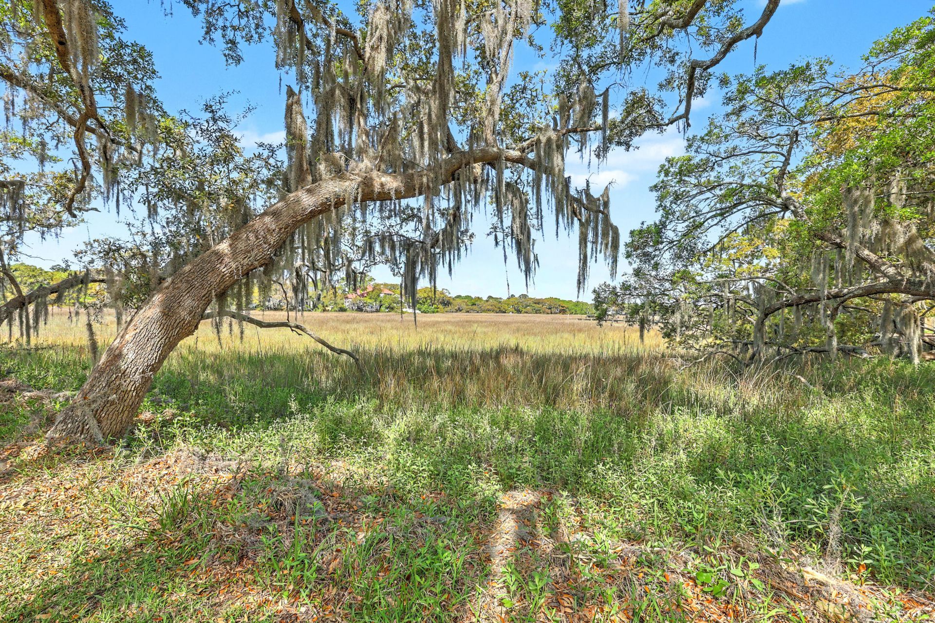 657 N Stiles Drive Photo 55