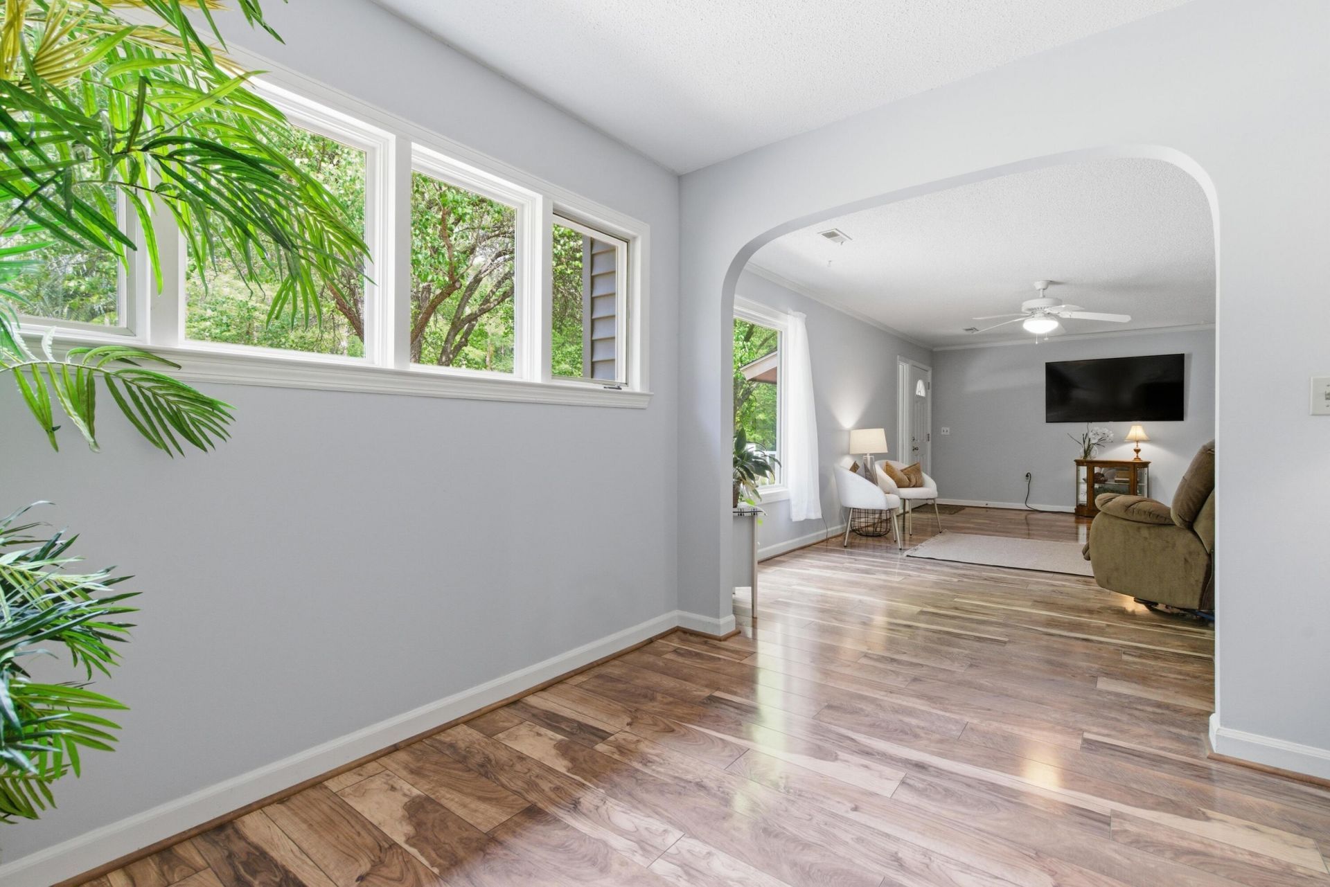 1005 Sanoree Drive Photo 10