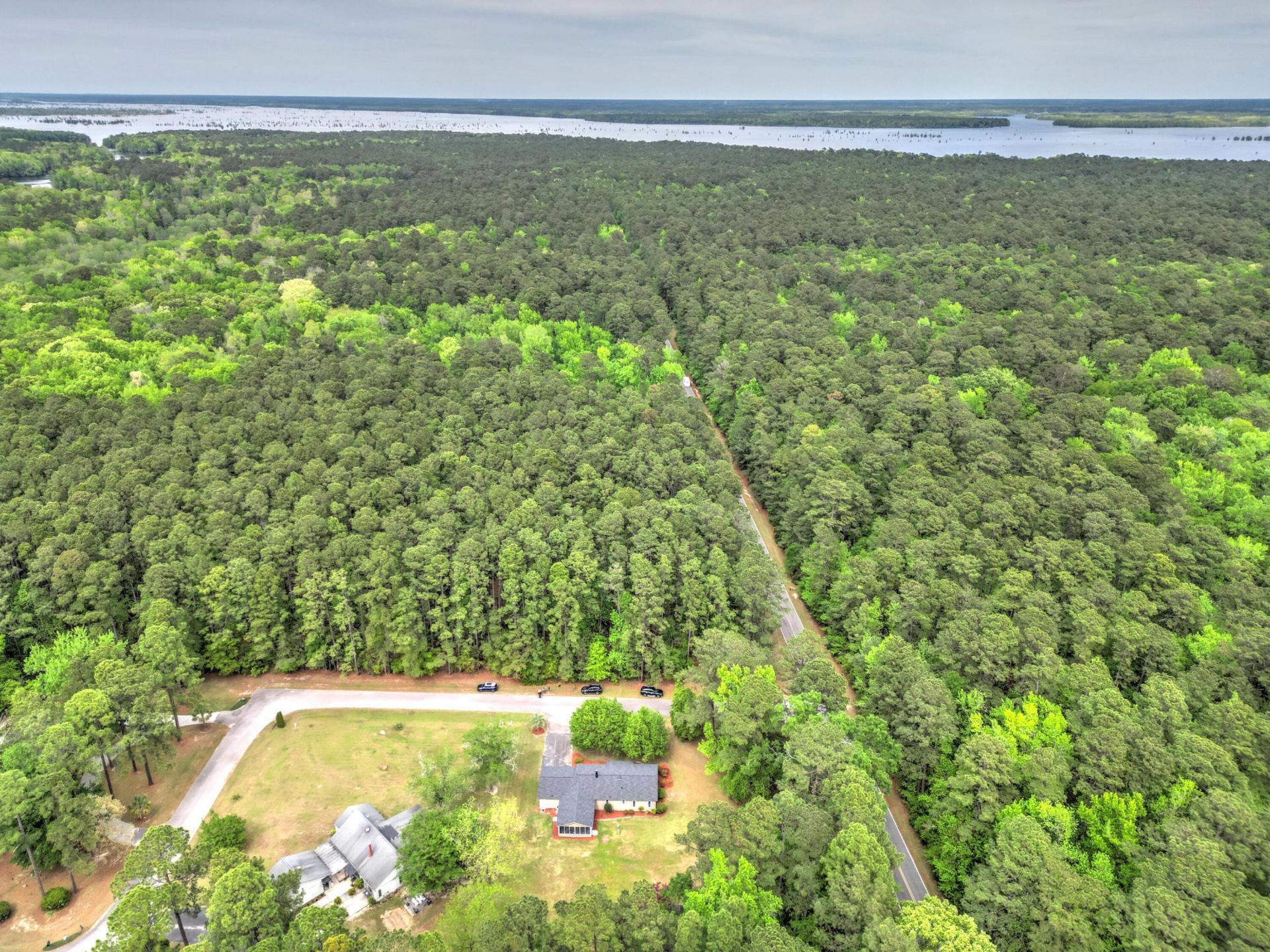 1005 Sanoree Drive Photo 37