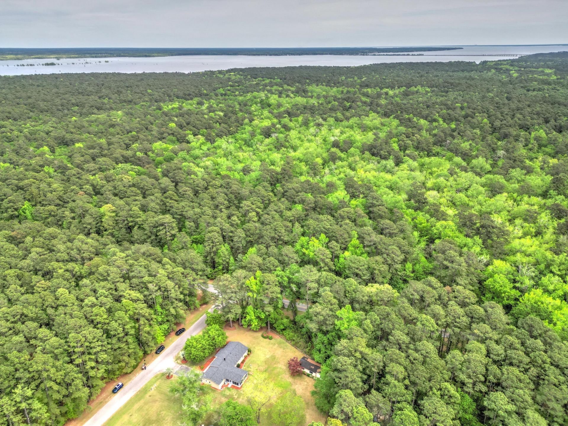 1005 Sanoree Drive Photo 38