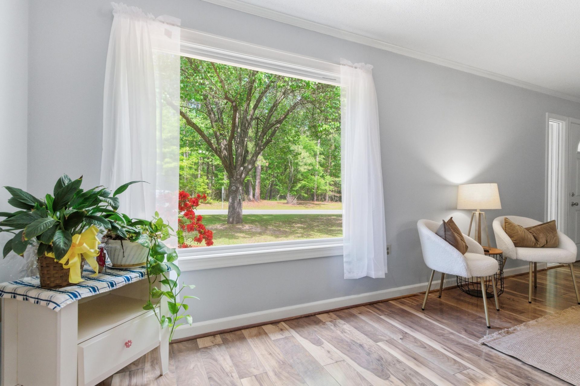 1005 Sanoree Drive Photo 8