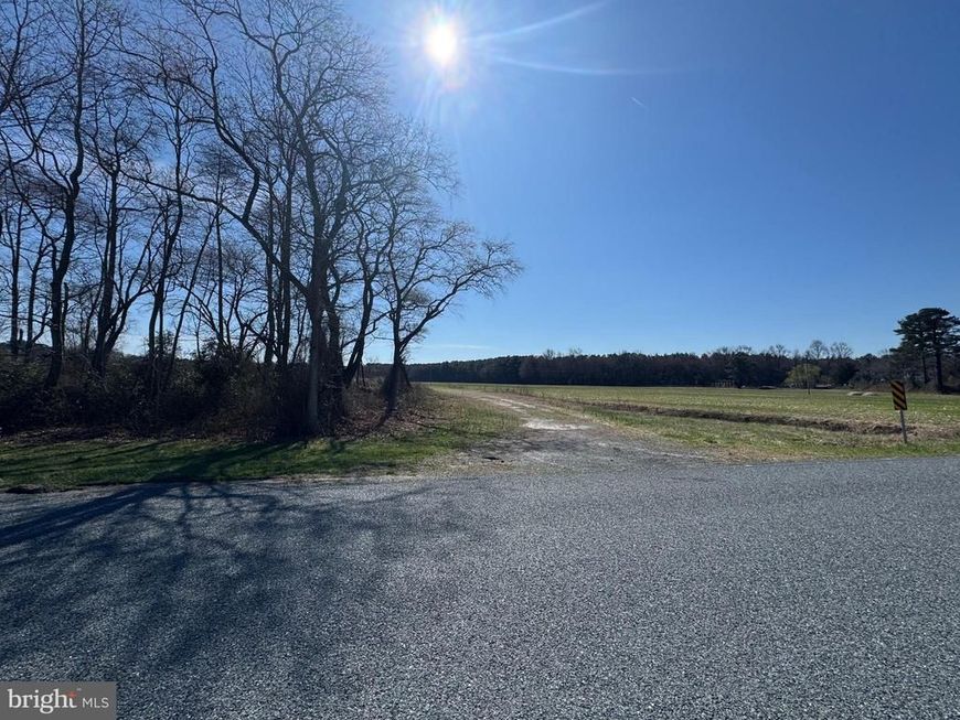 0 Line Road, Parsonsburg, MD 21849 Main Photo