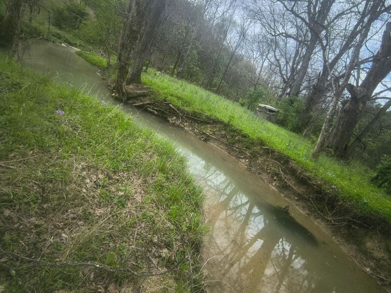 755 Reed Kinman Road, Williamstown, KY 41097 Photo 43