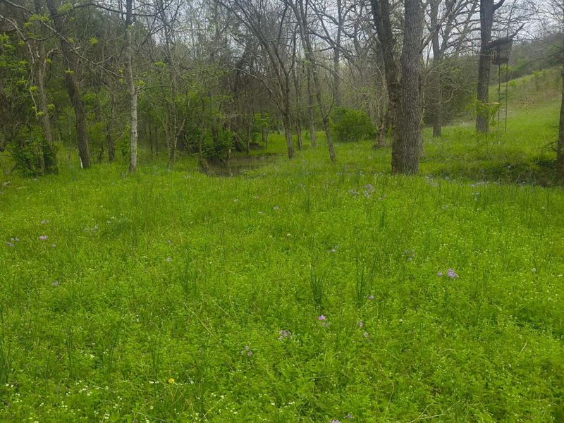 755 Reed Kinman Road, Williamstown, KY 41097 Photo 44