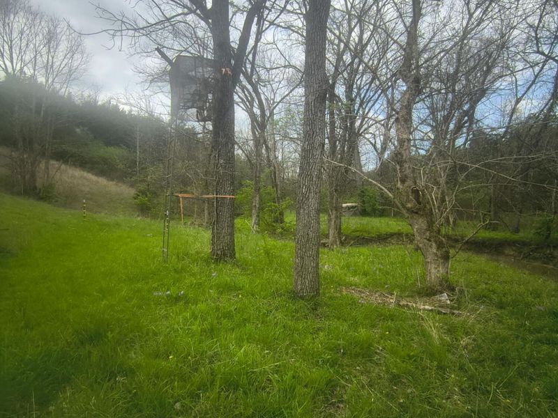 755 Reed Kinman Road, Williamstown, KY 41097 Photo 45