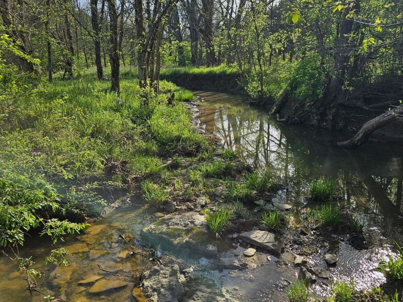 755 Reed Kinman Road, Williamstown, KY 41097 Photo 46