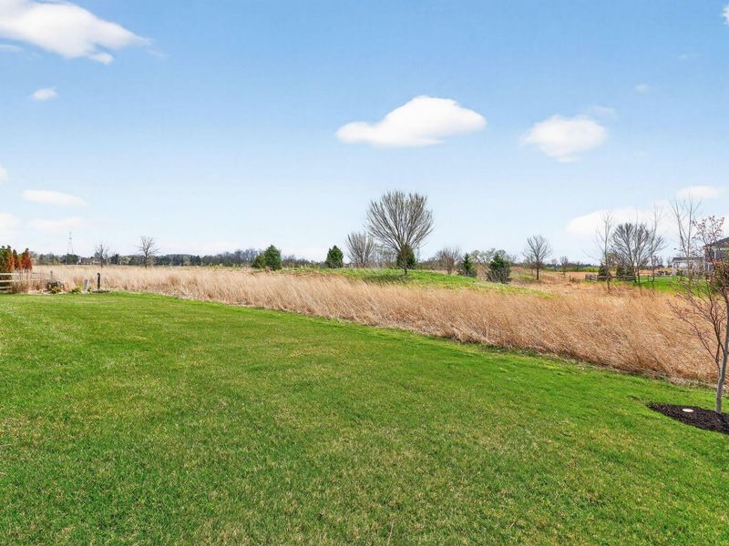 6541 Marshview Drive, Hilliard, OH 43026 Photo 124