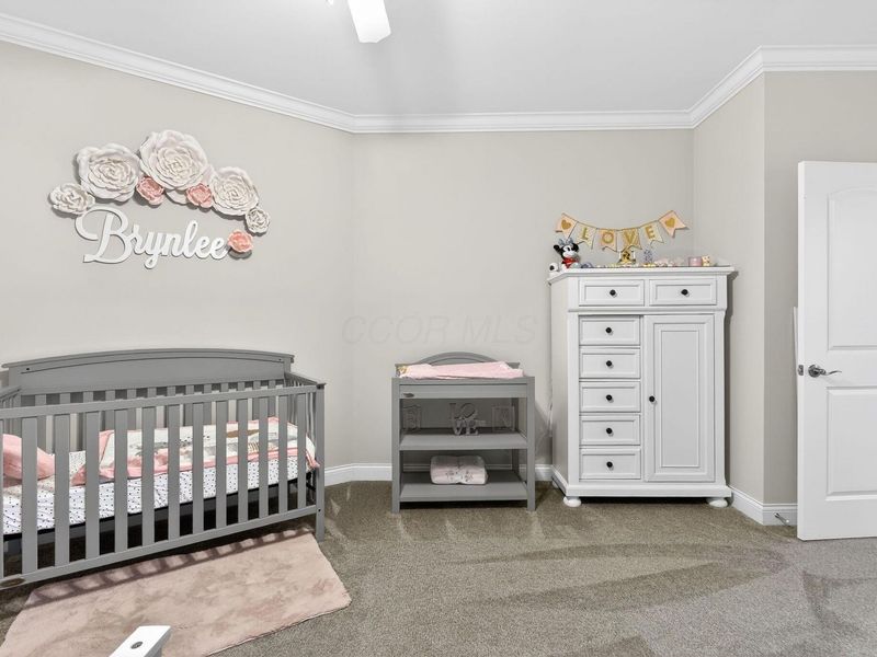 6541 Marshview Drive, Hilliard, OH 43026 Photo 78