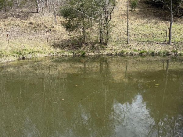 00 Kyles Ford (35 acres) Hwy, Kyles Ford, TN 37765