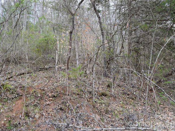 TBD Bel Air Road, Cullowhee, NC 28723