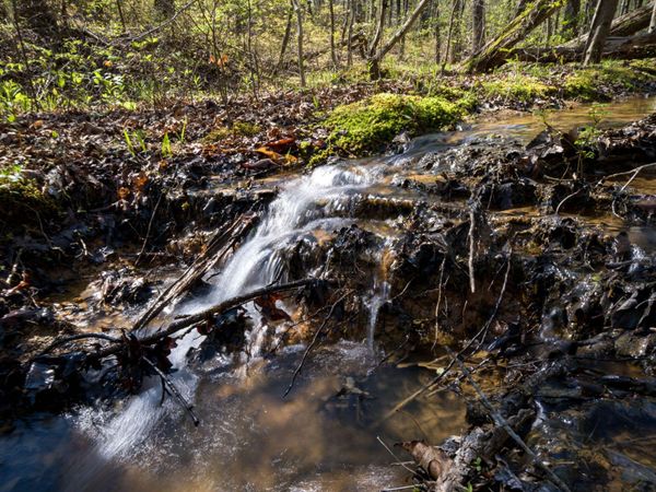 3916 Cummings Road, Chattanooga, TN 37419