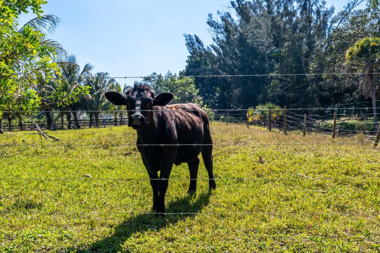 1710 SW 142nd Avenue, Davie, FL 33325 Photo