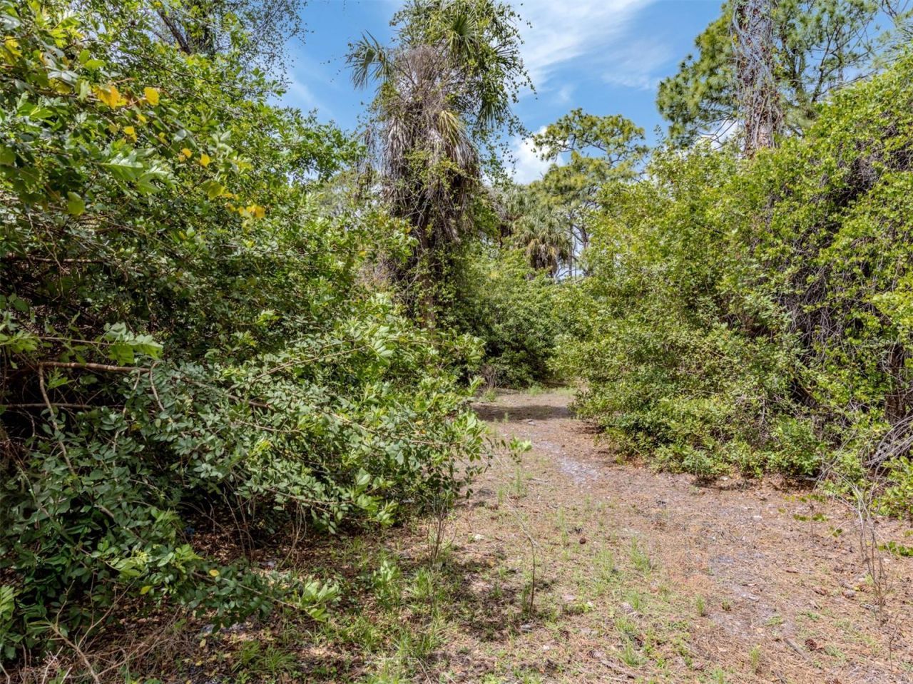 400 S Havana Road, Venice, FL 34292 Photo