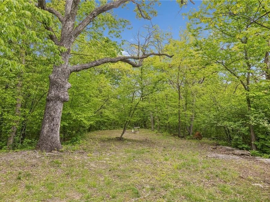 Property Image 47