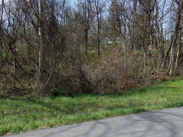 PAULINE AVENUE , CORRIGANVILLE, MD 21524