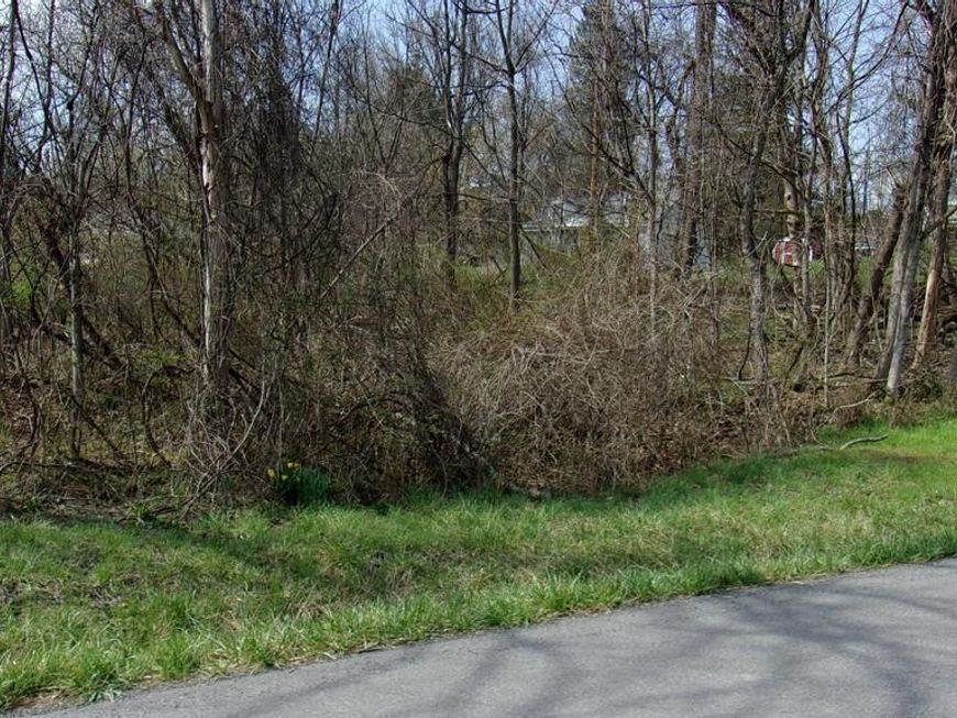 Pauline Avenue , Corriganville, MD 21524 Main Photo