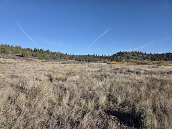 0 Drews Road, Unit Lot 8, Chiloquin, OR 97624