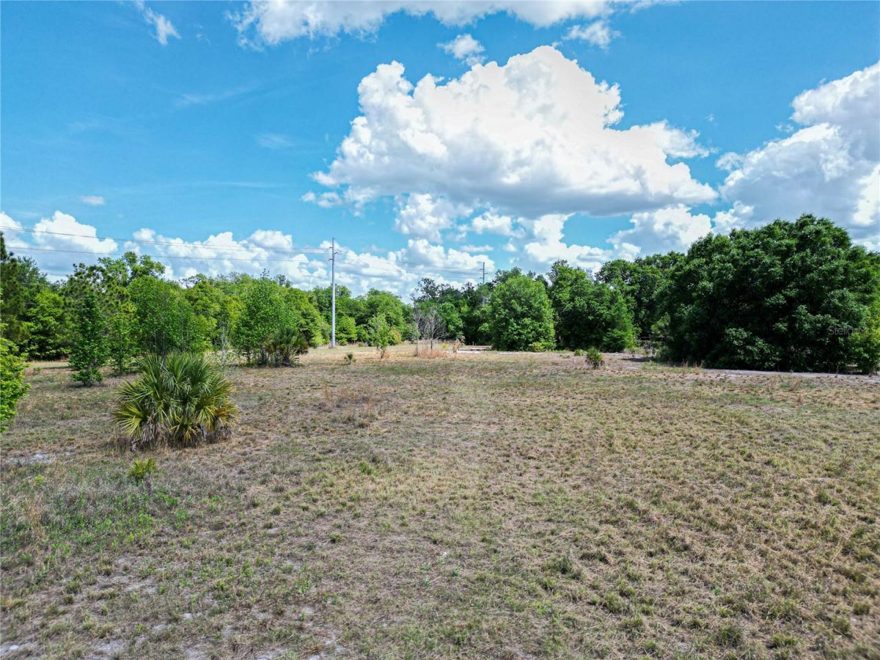 Coronet Road, Mulberry, FL 33860 Photo