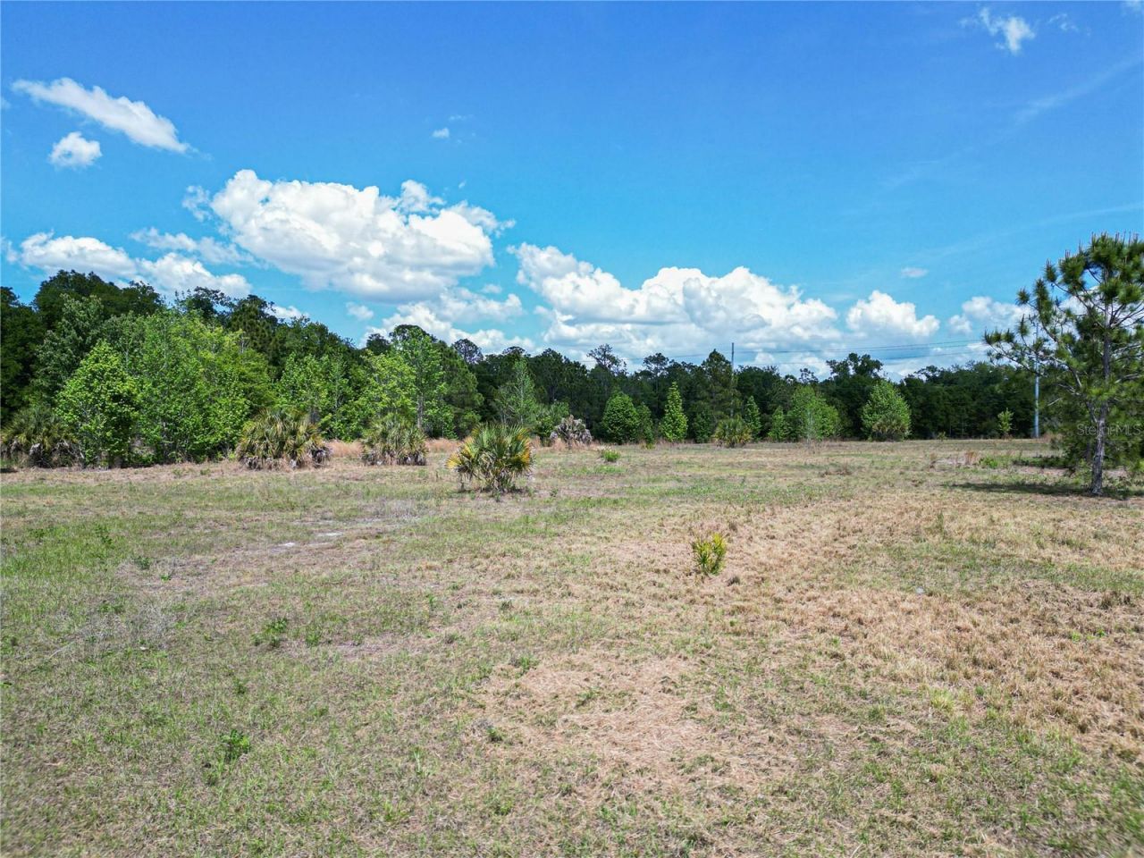 Coronet Road, Mulberry, FL 33860 Photo