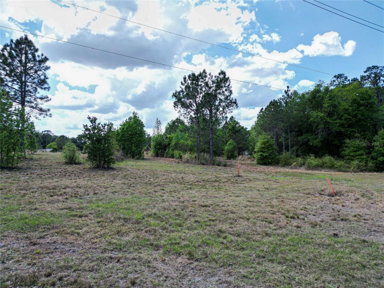Coronet Road, Mulberry, FL 33860 Photo