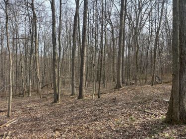 17951 E Shady Lane Road, Butler, OH 44822