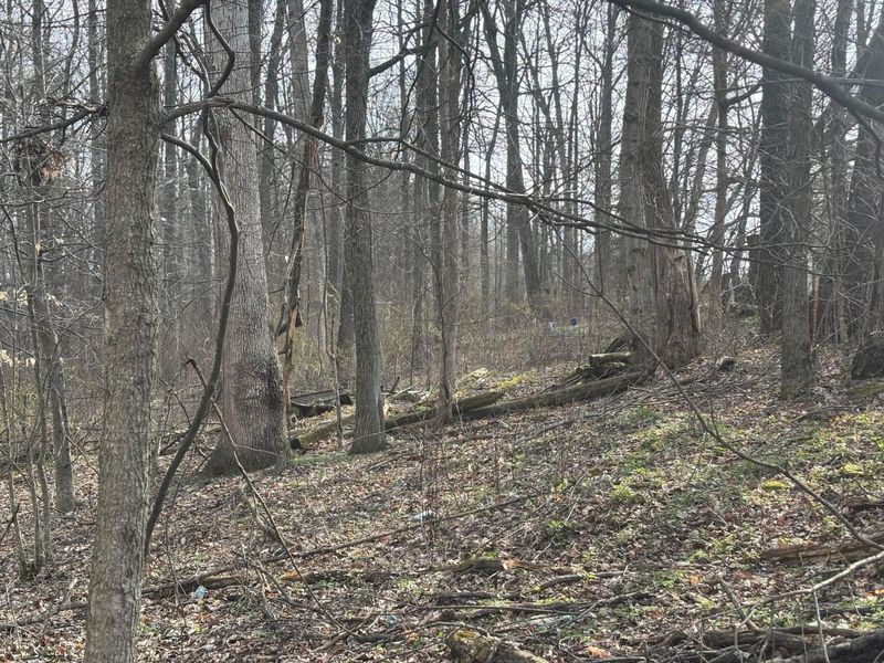 17951 E Shady Lane Road, Butler, OH 44822 Photo 2