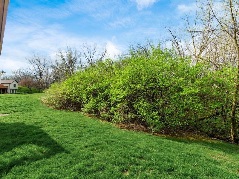 7673 Key Deer Drive, Columbus, OH 43085 Photo 38