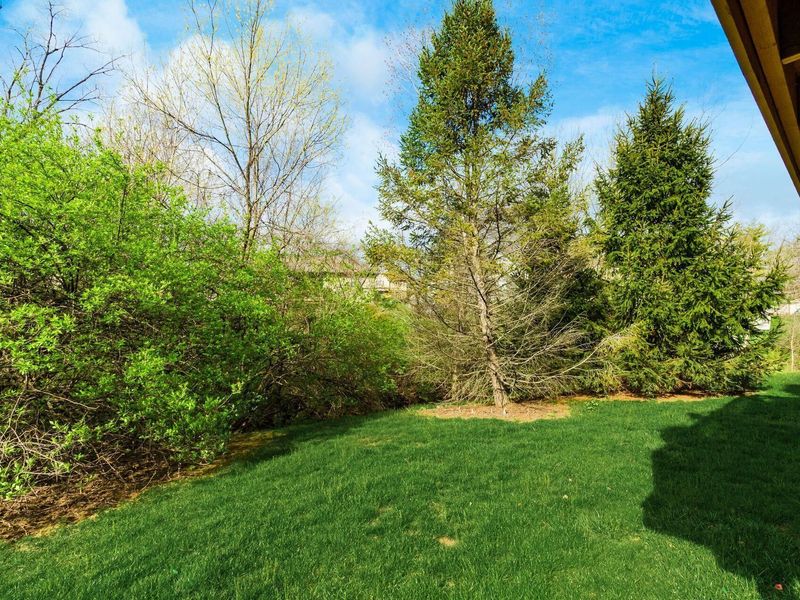 7673 Key Deer Drive, Columbus, OH 43085 Photo 39