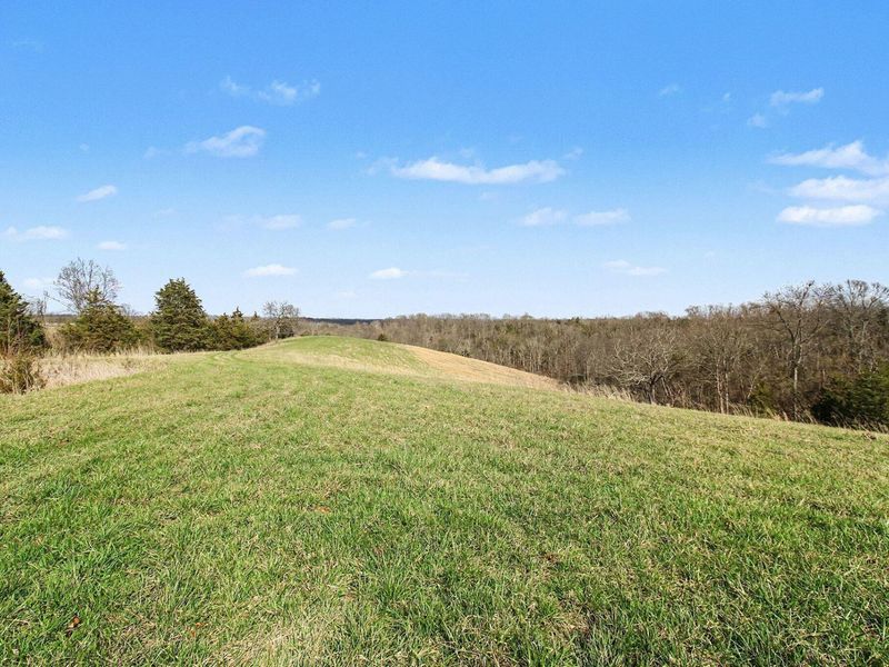 4370 KY 491, Demossville, KY 41033 Photo 1