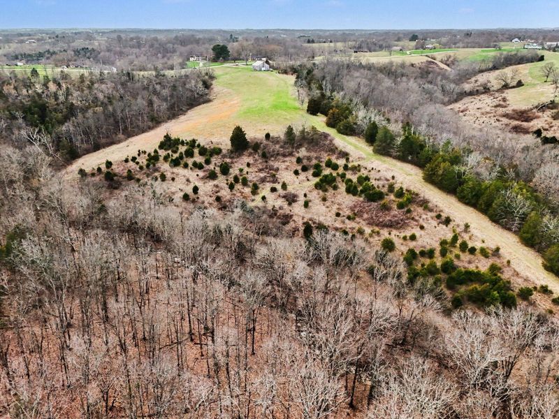 4370 KY 491, Demossville, KY 41033 Photo 10