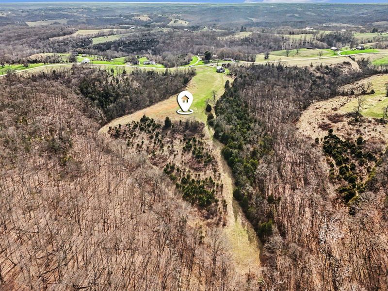 4370 KY 491, Demossville, KY 41033 Photo 16