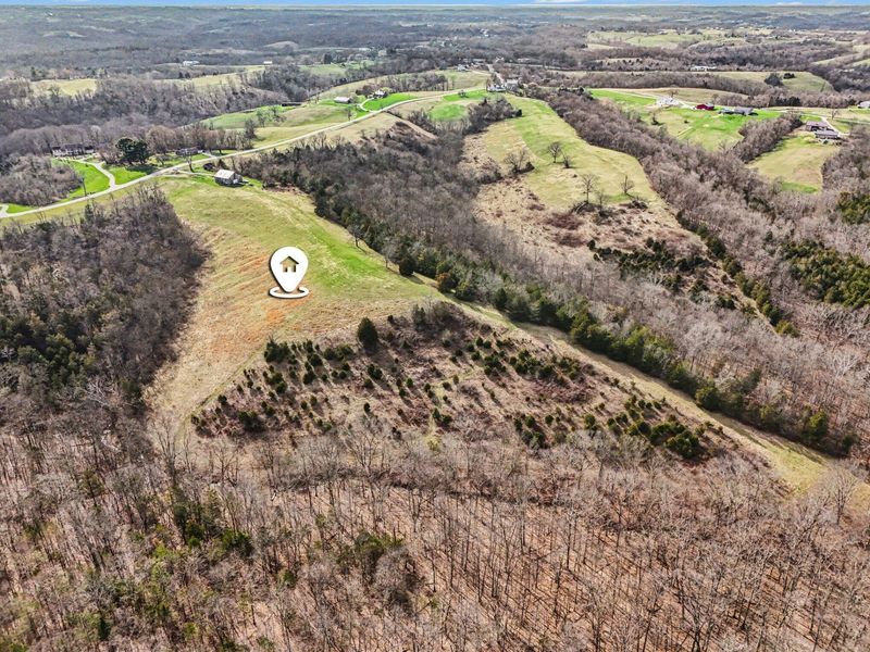 4370 KY 491, Demossville, KY 41033 Photo 17