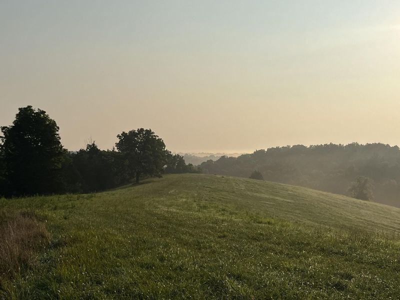 4370 KY 491, Demossville, KY 41033 Photo 19