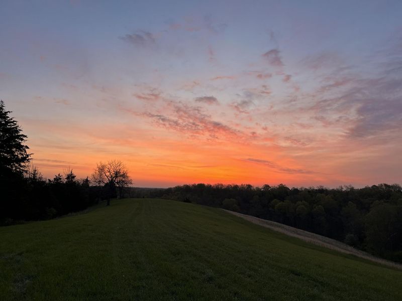 4370 KY 491, Demossville, KY 41033 Photo 20