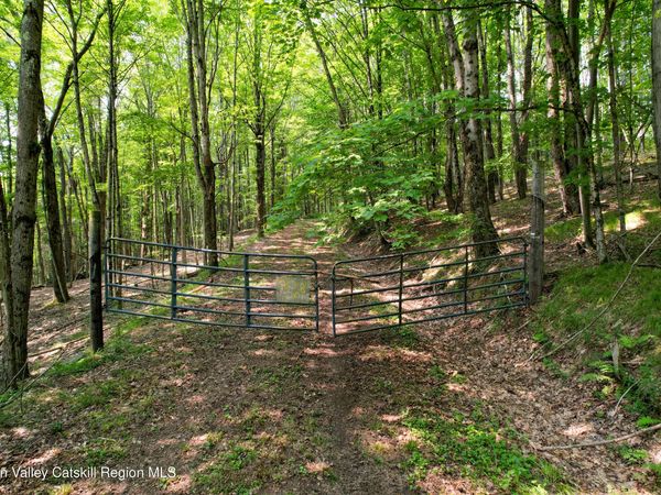 0 Paradise Camp Road, Fleischmanns, NY 12430