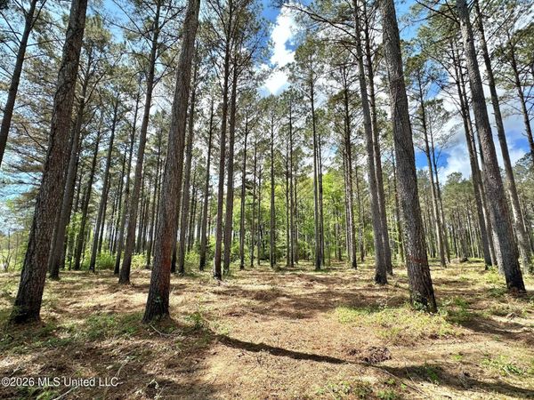 2 Morgan Road , Canton, MS 39046