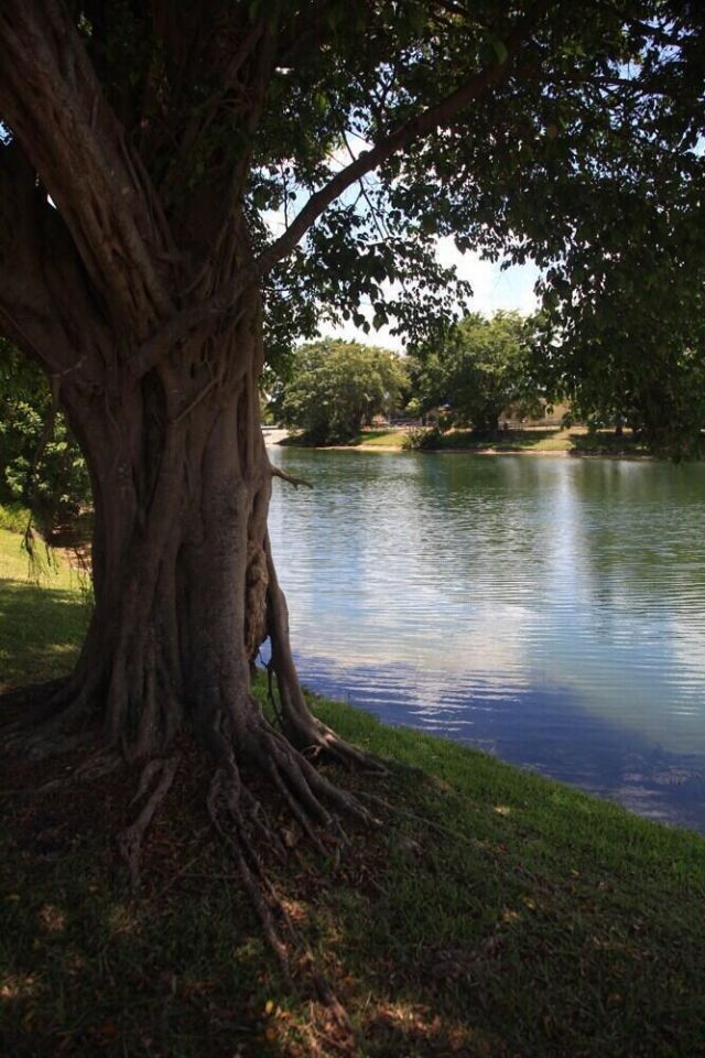 9414 NW 49th Place, Unit 14, Sunrise, FL 33351 Photo