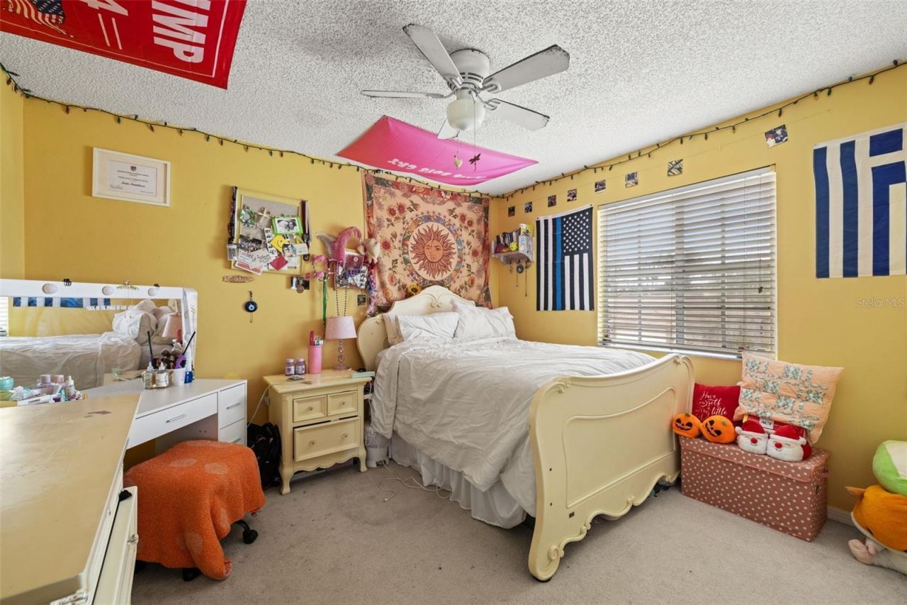 4922 Edgewater Lane, Oldsmar, FL 34677 Photo