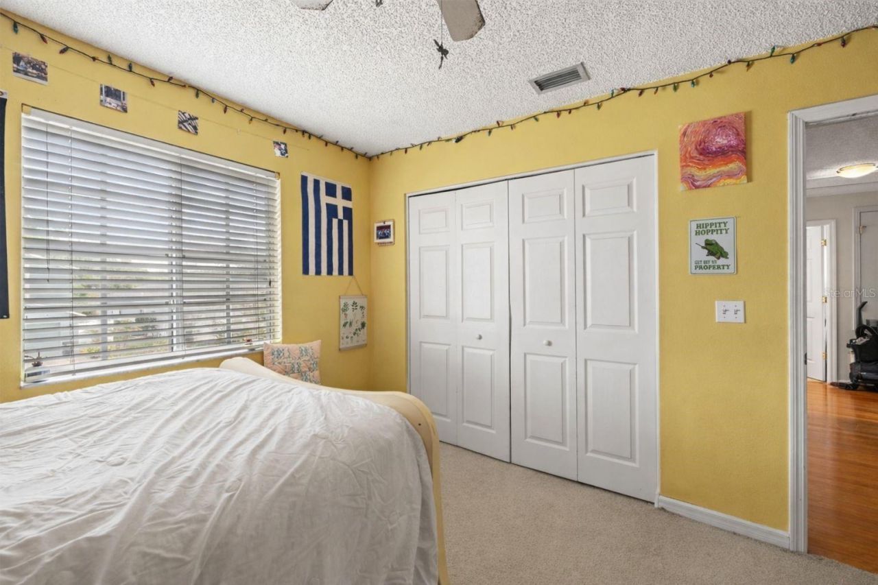 4922 Edgewater Lane, Oldsmar, FL 34677 Photo