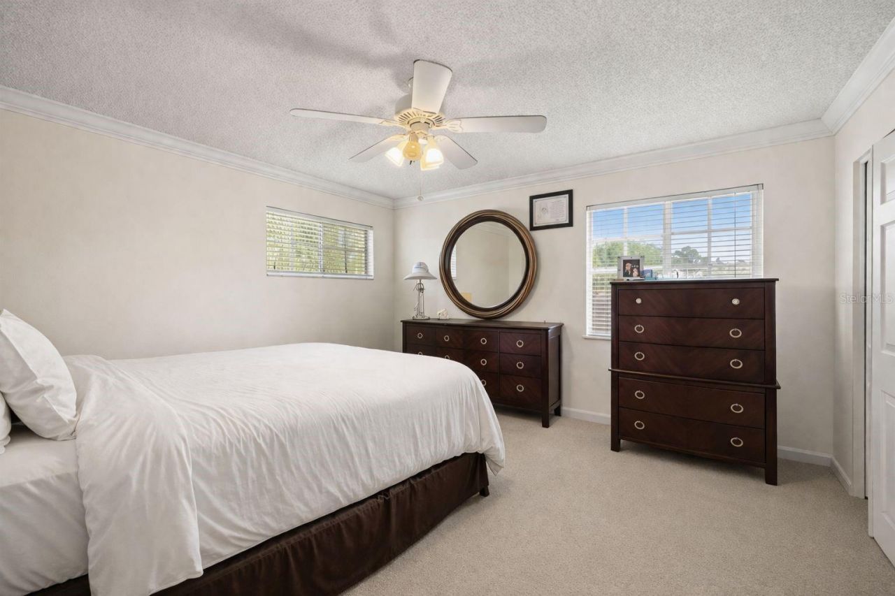 4922 Edgewater Lane, Oldsmar, FL 34677 Photo