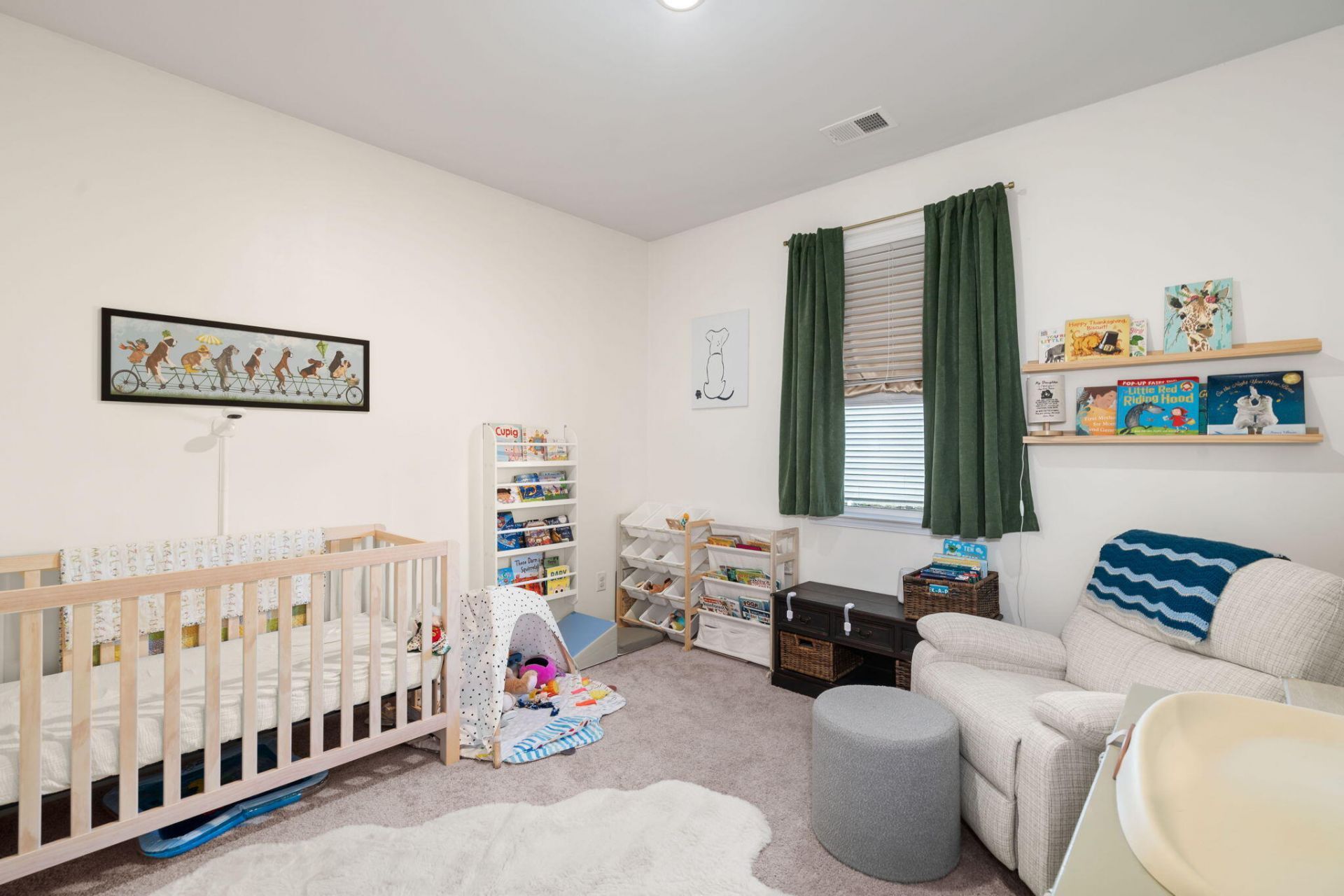 1041 Peridote Way Photo 28